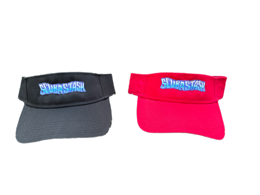 VISORS